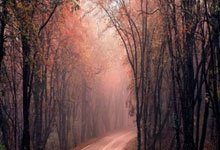 品质生活论坛网站,高品质生活论坛