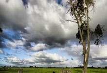 品质生活栏目组中一粼,品质栏目播出时间